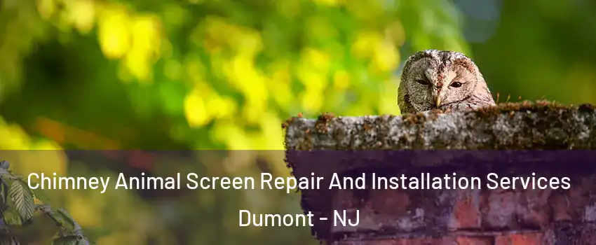 Chimney Animal Screen Repair And Installation Services Dumont - NJ