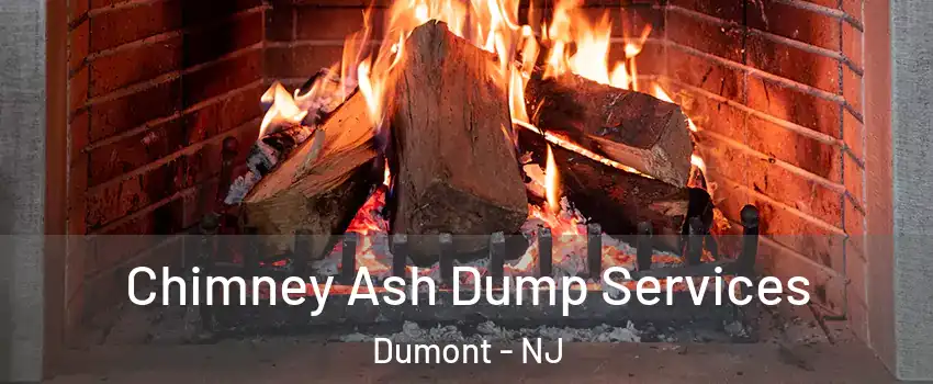  Chimney Ash Dump Services Dumont - NJ