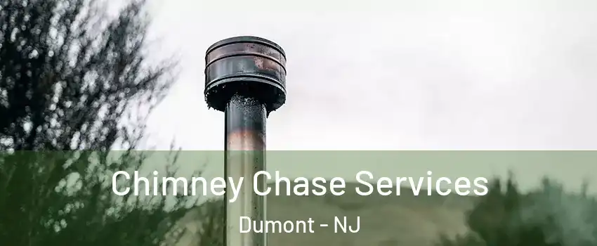 Chimney Chase Services Dumont - NJ