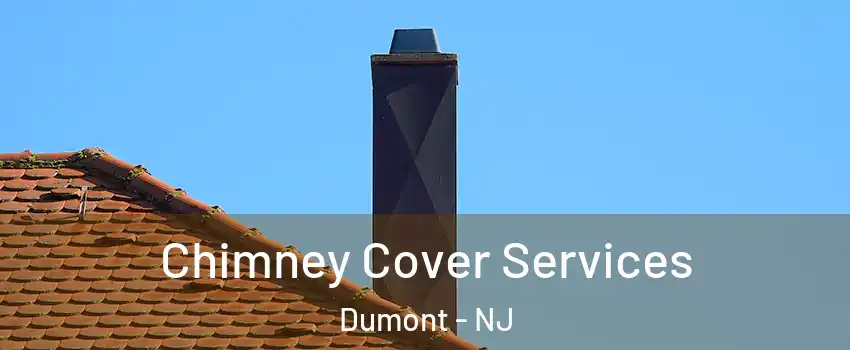 Chimney Cover Services Dumont - NJ