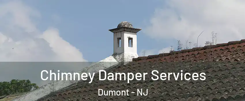  Chimney Damper Services Dumont - NJ