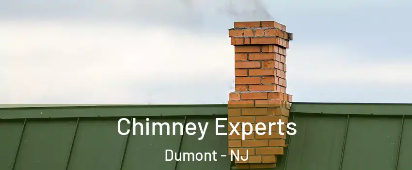 Chimney Experts Dumont - NJ