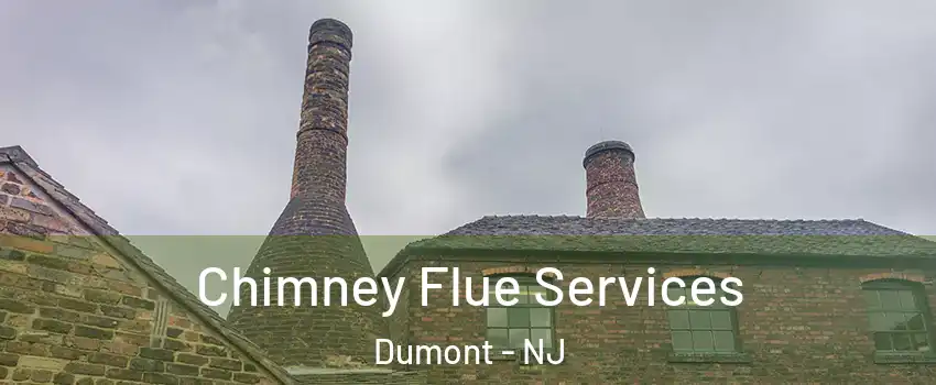  Chimney Flue Services Dumont - NJ