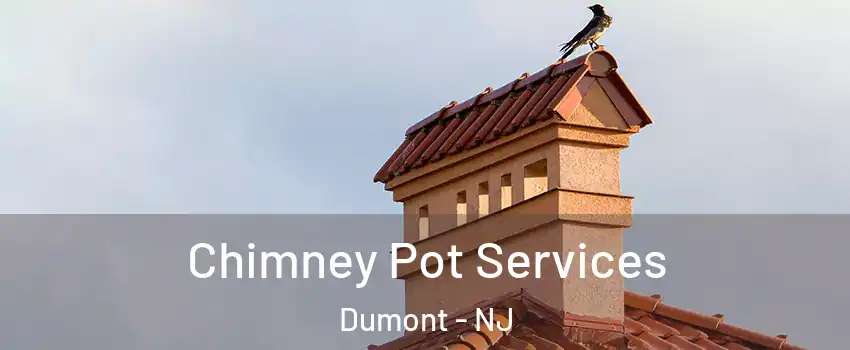  Chimney Pot Services Dumont - NJ