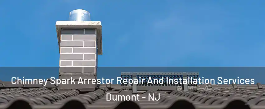  Chimney Spark Arrestor Repair And Installation Services Dumont - NJ