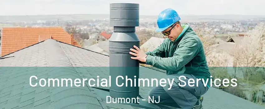  Commercial Chimney Services Dumont - NJ