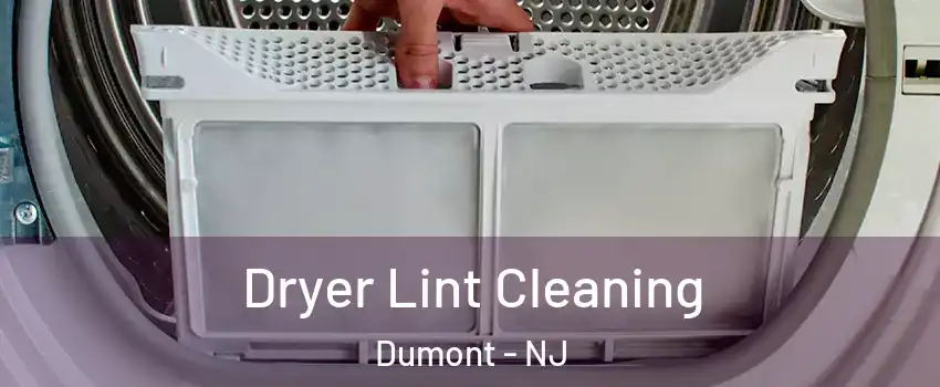  Dryer Lint Cleaning Dumont - NJ