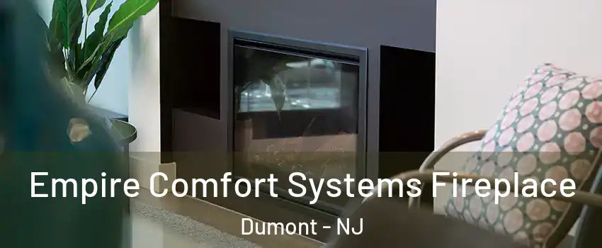  Empire Comfort Systems Fireplace Dumont - NJ