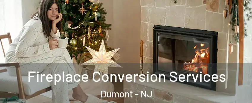  Fireplace Conversion Services Dumont - NJ