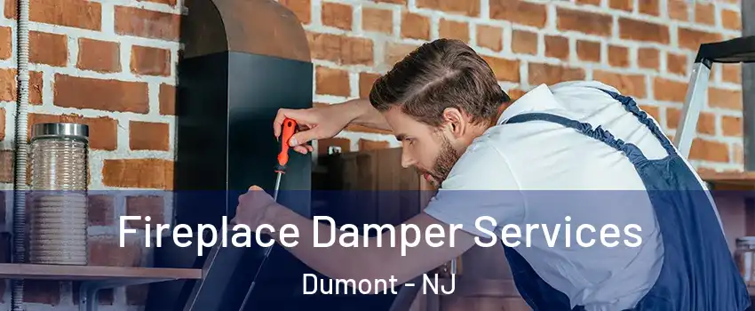  Fireplace Damper Services Dumont - NJ