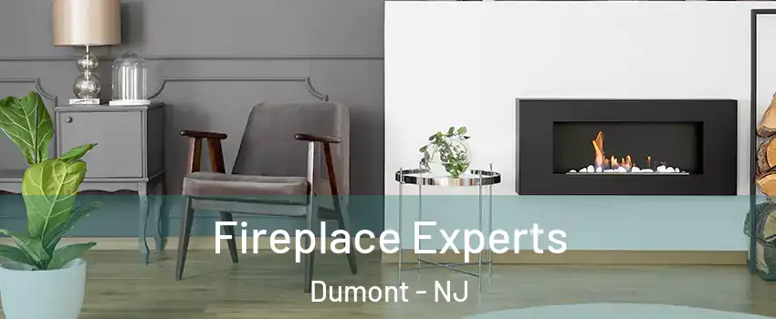  Fireplace Experts Dumont - NJ