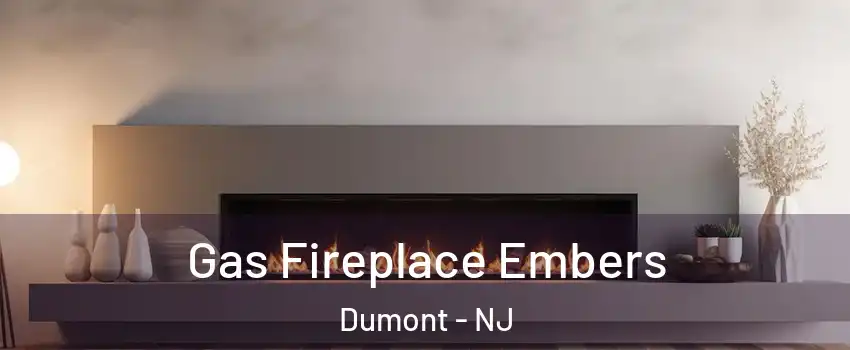  Gas Fireplace Embers Dumont - NJ