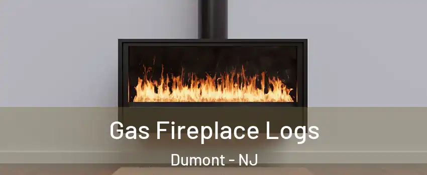 Gas Fireplace Logs Dumont - NJ