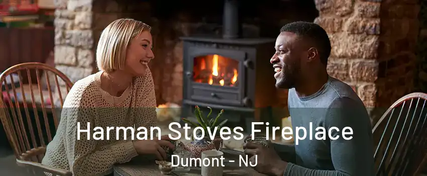  Harman Stoves Fireplace Dumont - NJ