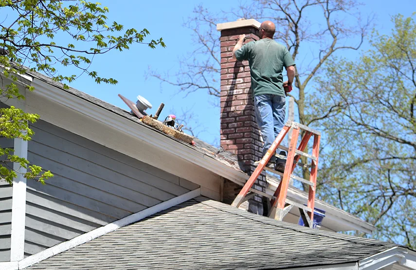 Chimney & Fireplace Inspections Services in Dumont, NJ