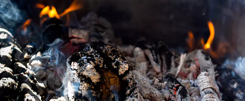 Creosote Removal Experts in Dumont, NJ