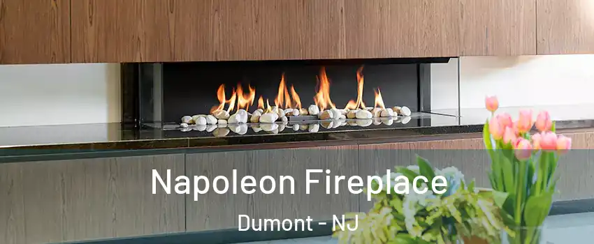 Napoleon Fireplace Dumont - NJ